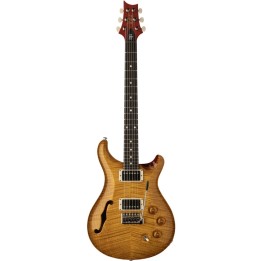 DGT SEMI-HOLLOW LIMITED EDITION