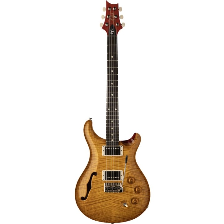 DGT SEMI-HOLLOW LIMITED EDITION