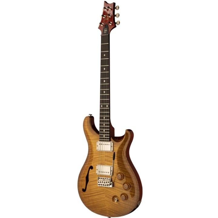 DGT SEMI-HOLLOW LIMITED EDITION