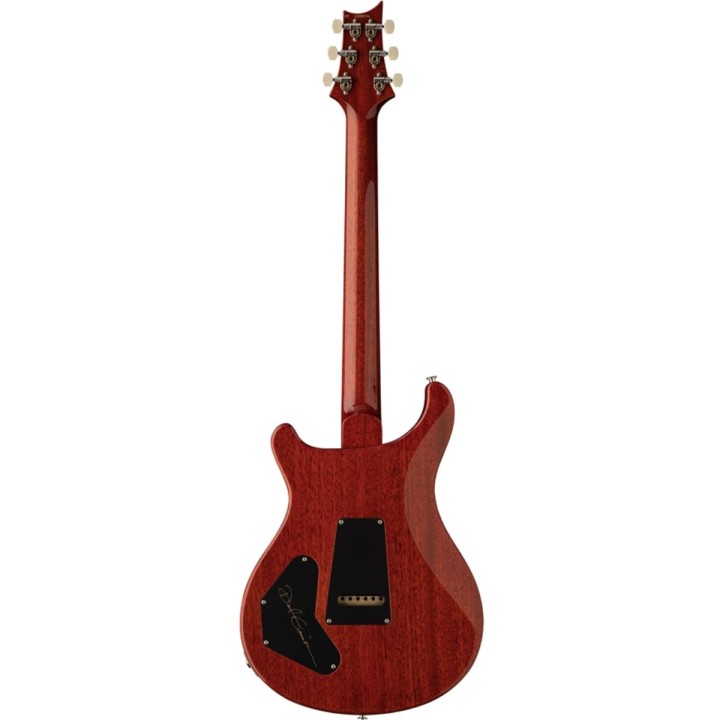 DGT SEMI-HOLLOW LIMITED EDITION