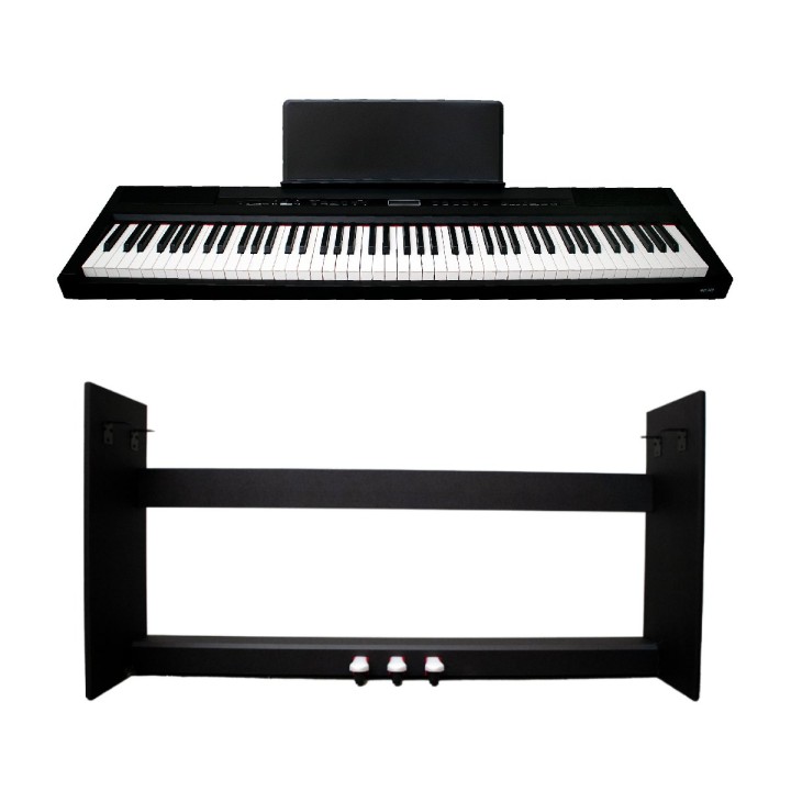 ECHORD SP-10 B BUNDLE
