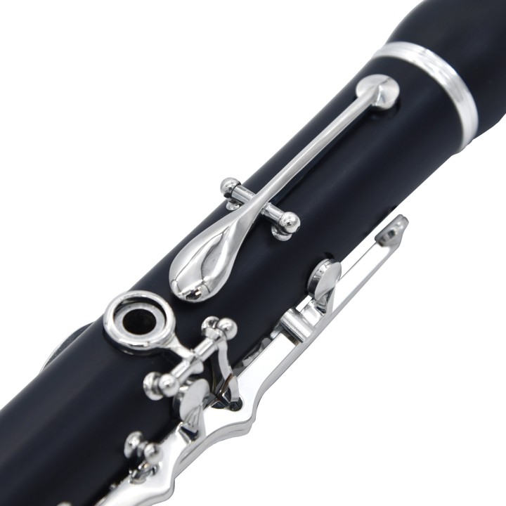Acquista RIPAMONTI 50-1s Clarinetto Sib online | Merula Strumenti Musicali