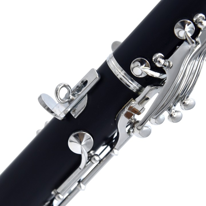 Acquista RIPAMONTI 50-1s Clarinetto Sib online | Merula Strumenti Musicali
