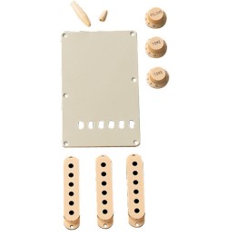 Acquista FENDER 0991368000 Aged White Access Kit Strat online | Merula Strumenti Musicali