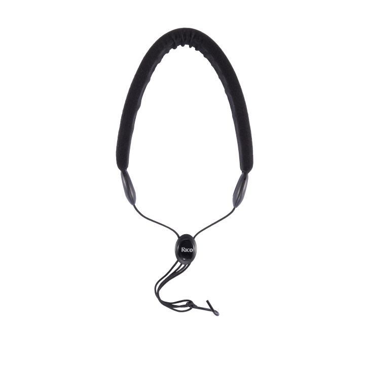 D'ADDARIO | SLA 12