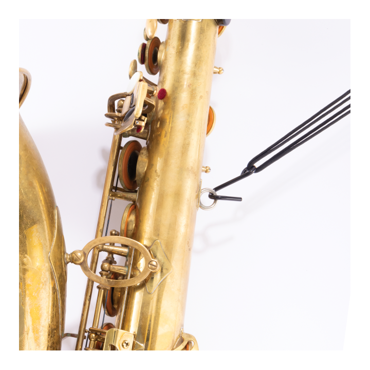 D'ADDARIO | SLA 12