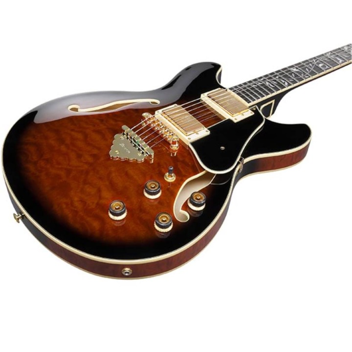 ibanez-as93qmsp-dbs-1