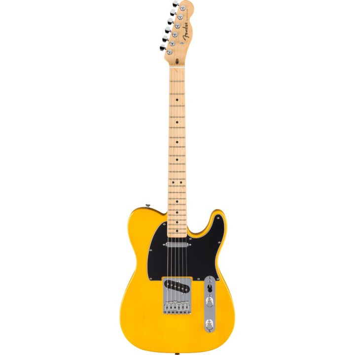standard-telecaster-maple-fingerboard-butterscotch-blonde