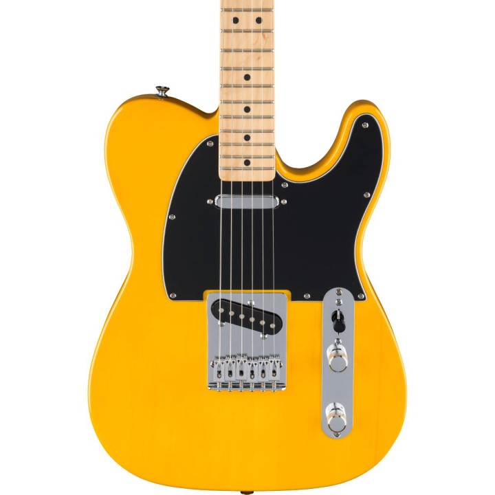 standard-telecaster-maple-fingerboard-butterscotch-blonde-1