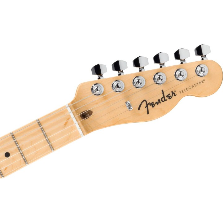 standard-telecaster-maple-fingerboard-butterscotch-blonde-2