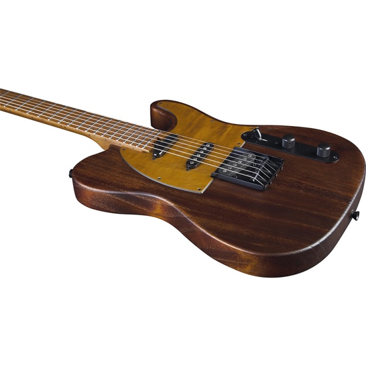 eko-tero-701-wildwood-1