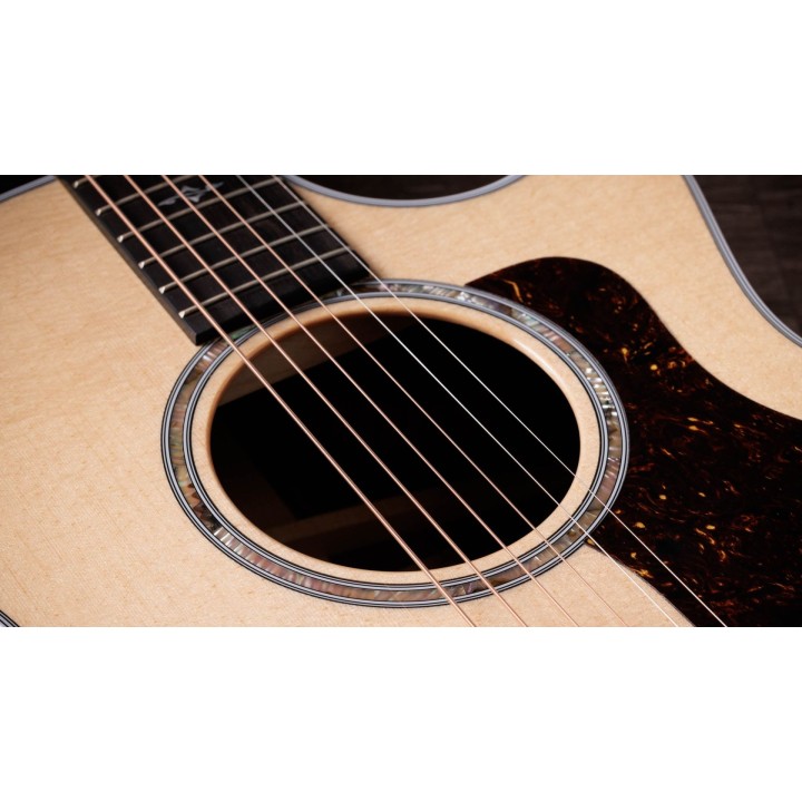 Taylor - 414CE