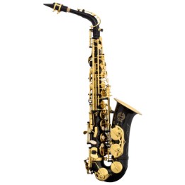 Acquista GRASSI Gr Sal700bk Sax Alto Nero online | Merula Strumenti Musicali