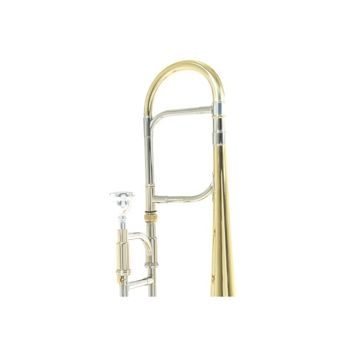 Acquista ROY BENSON AT-201 TROMBONE ALTO MIb online | Merula Strumenti Musicali