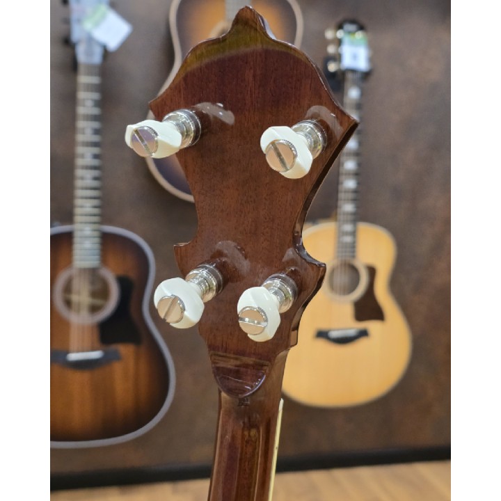 Stelling | Crusader Banjo 5 corde