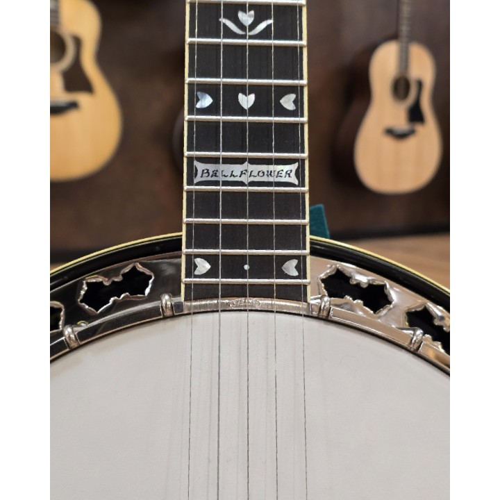 Stelling | Bellflower Banjo 5 corde