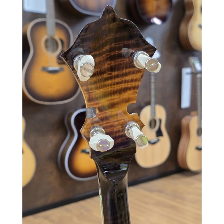 Stelling | Virginian Banjo a 5 Corde