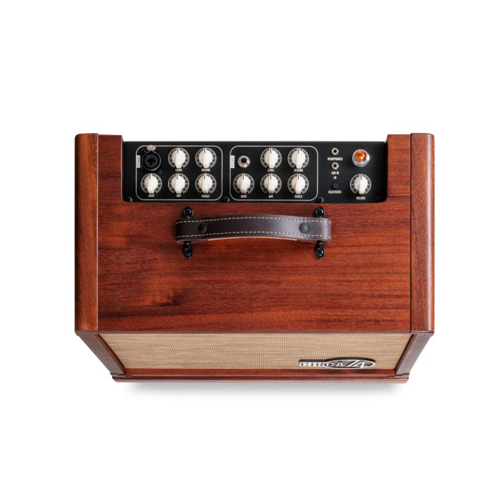Taylor - Circa 74,AV150-10,AMP W/STAND,MAHG-EU/SK