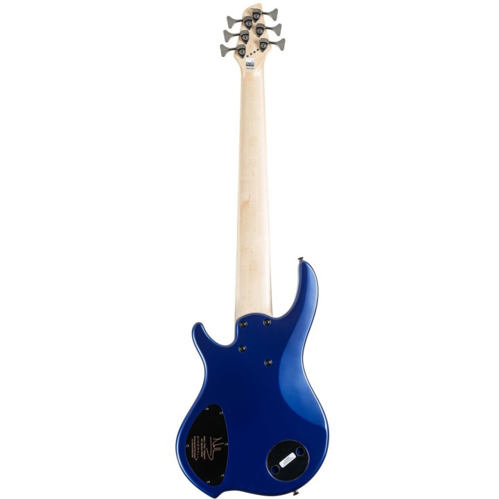 Dingwall - NG3 Nolly Signature 6 String Blueberry