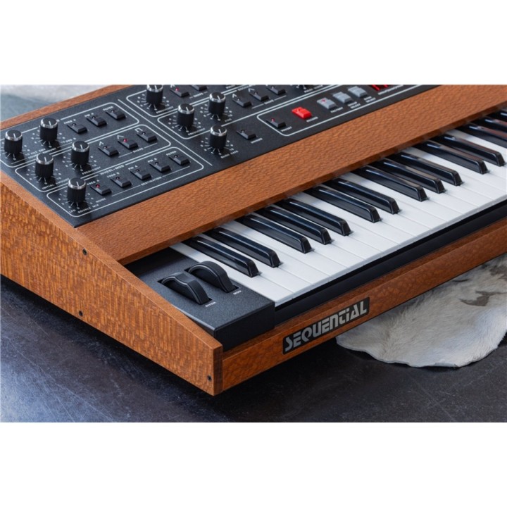 Sequential Prophet-10 Special Edition, sintetizzatore analogico dettaglio