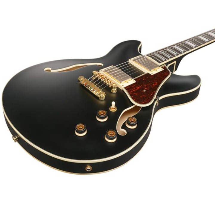 Ibanez AS73G BKF, chitarra elettrica hollowbody