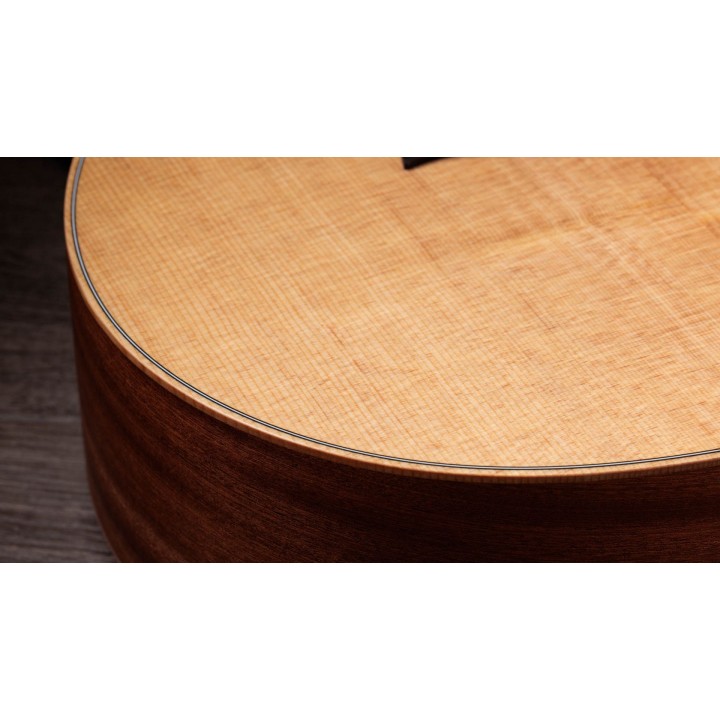 Taylor - GS Mini Sapele