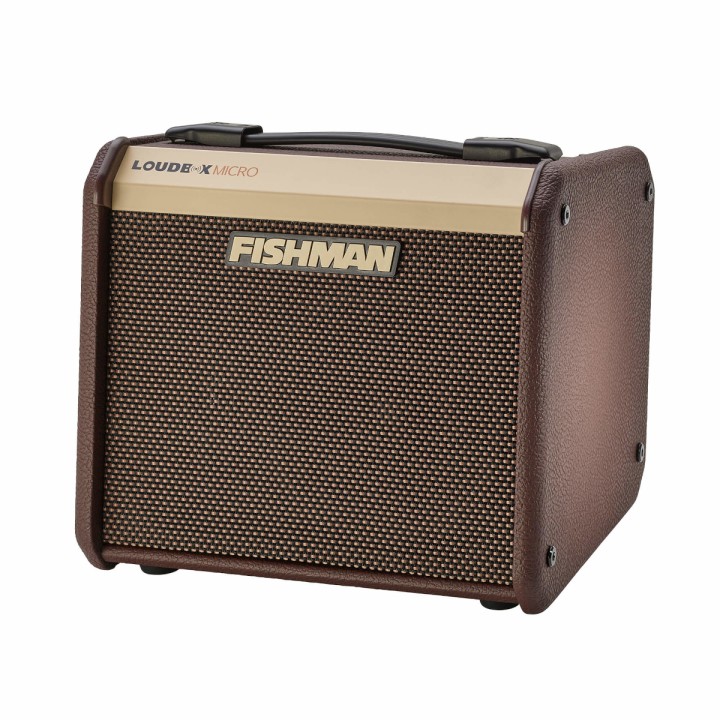 Acquista FISHMAN LOUDBOX MICRO 40W (PRO-LBT-400) online | Merula Strumenti Musicali