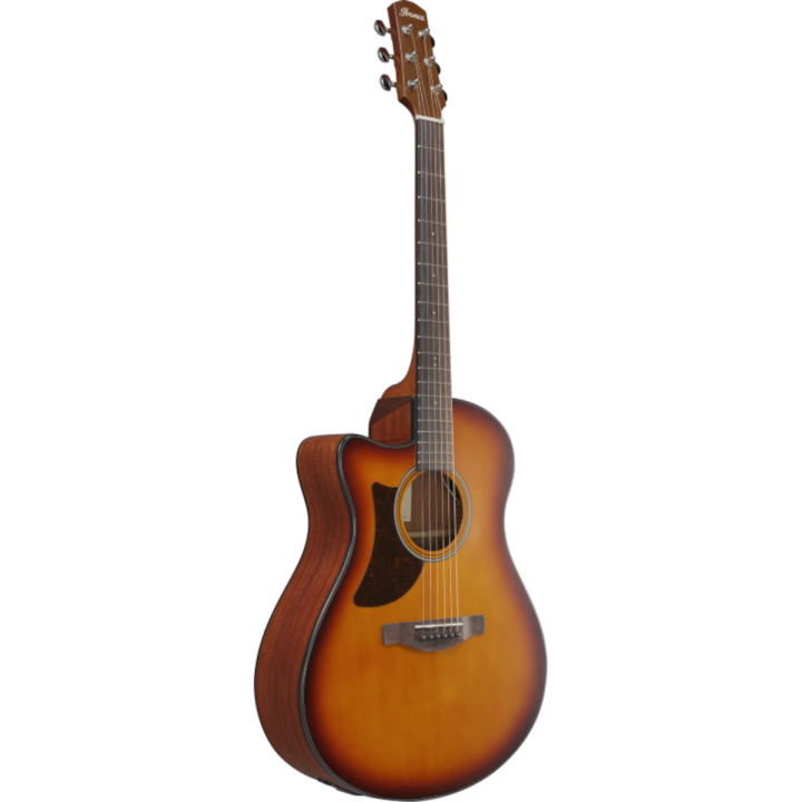 Acquista IBANEZ AAM50LCEOLB online | Merula Strumenti Musicali