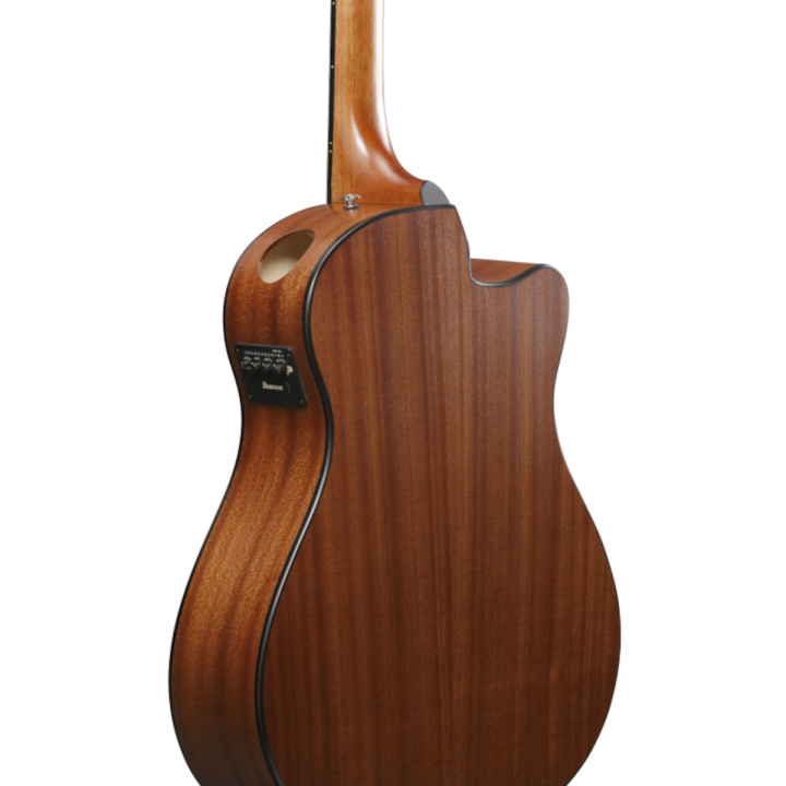 Acquista IBANEZ AAM50LCEOLB online | Merula Strumenti Musicali