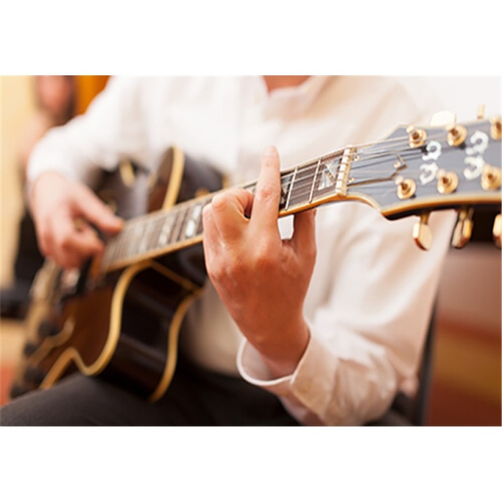 Fishman | Archtop (PRO-ARC-TOP)