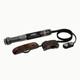 L. R. BAGGS - LYRIC-ACOUSTIC PREAMP