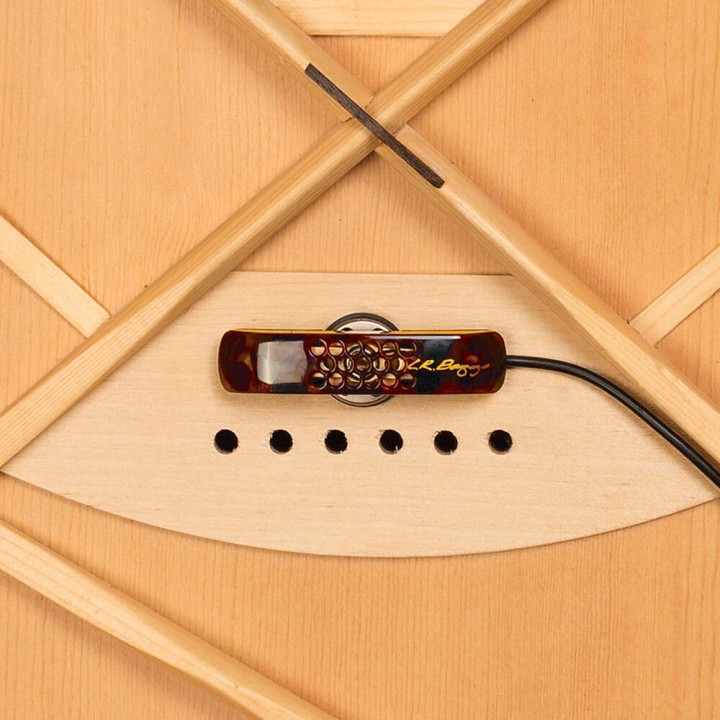 L. R. BAGGS - LYRIC-ACOUSTIC PREAMP