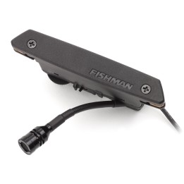 FISHMAN | RARE EARTH MIC BLEND ATTIVO DA BUCA