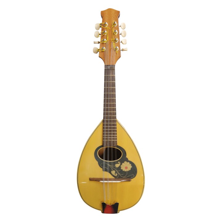 Acquista DOMUS MLC02 MANDOLINO STUDIO 3/4 CON BORSA online | Merula Strumenti Musicali