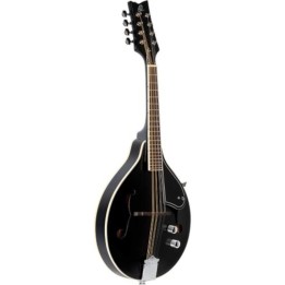 Acquista ORTEGA RMAE40SBK 48693 online | Merula Strumenti Musicali