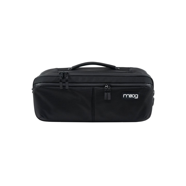 Acquista MOOG MUSIC Moog Theremin Etherwave Sr Case online | Merula Strumenti Musicali