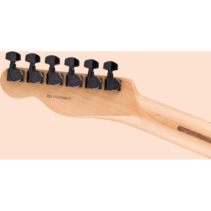 Acquista FENDER 0173941770 Limited Edition American Professional II Telecaster Hh, Roasted Ma online | Merula Strumenti Musicali