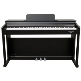 Echord - DPX-100 B