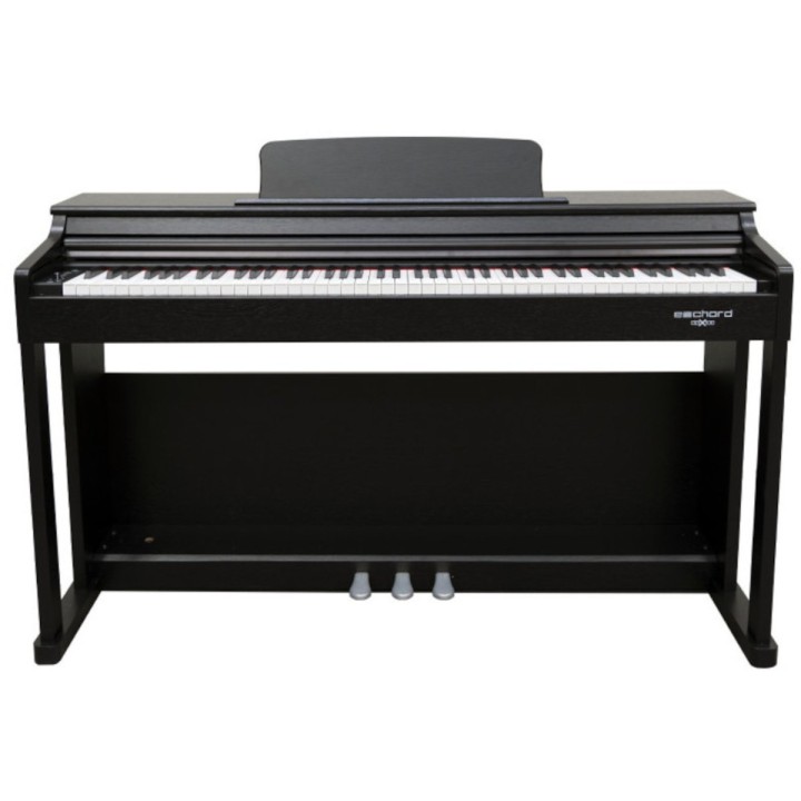 Echord - DPX-100 B