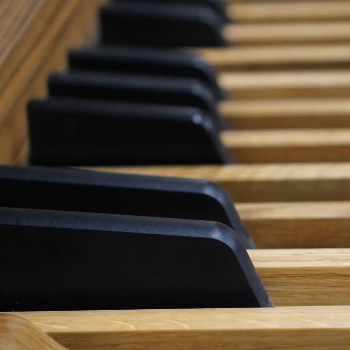 Viscount Domus 6, Organo liturgico