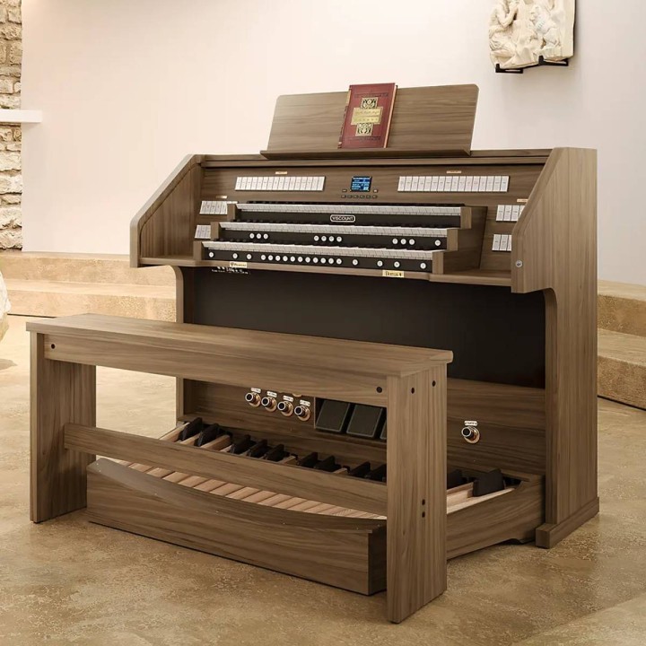 Viscount Domus 9, organo liturgico