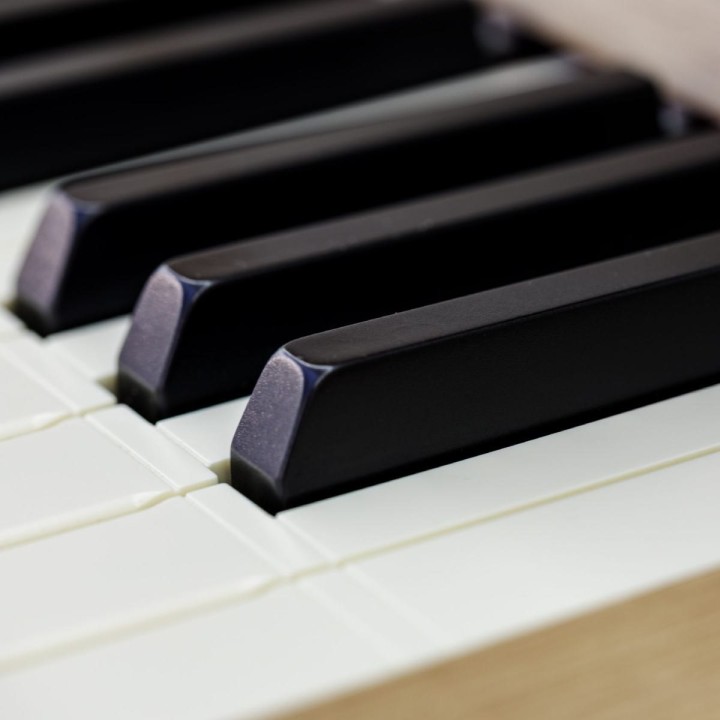 Viscount Domus S4, organo liturgico