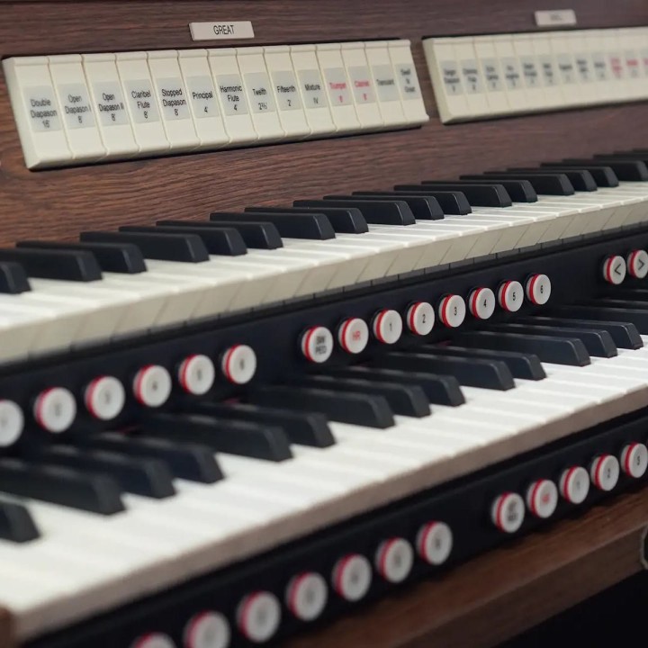 Viscount Domus S4, organo liturgico