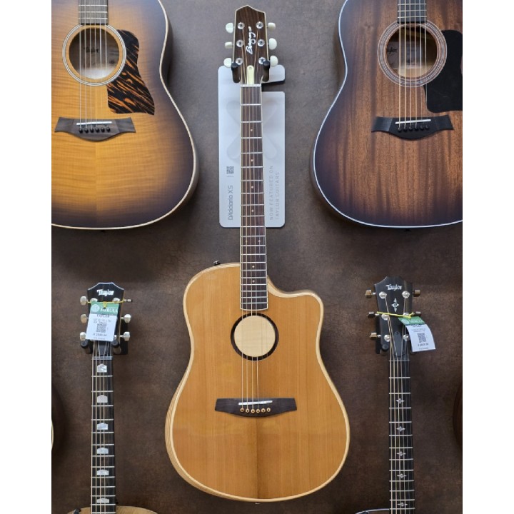 L.R. Baggs | AEG-1 Chitarra acustica amplificata