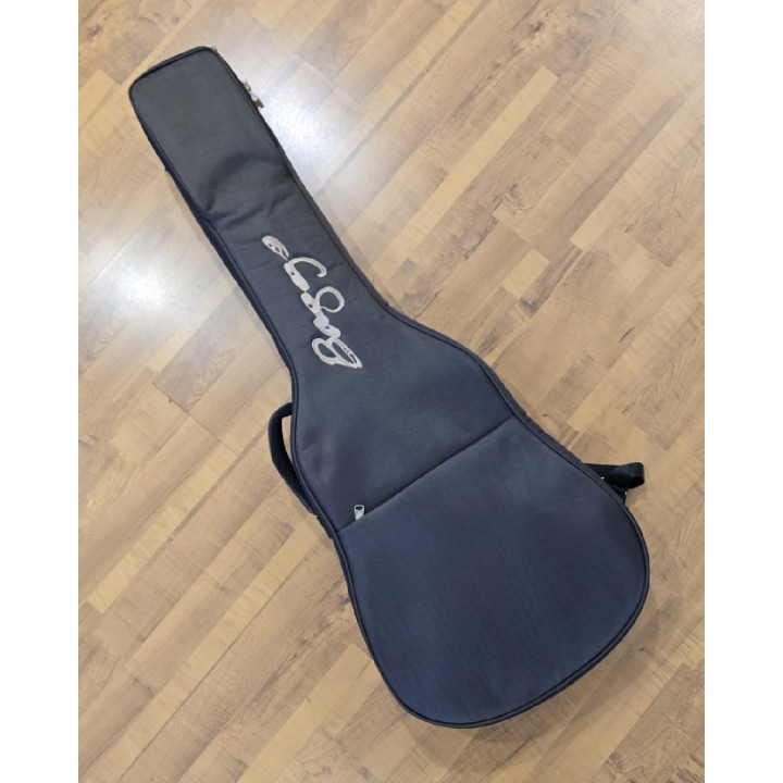 L.R. Baggs | AEG-1 Chitarra acustica amplificata