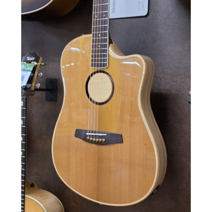 L.R. Baggs | AEG-1 Chitarra acustica amplificata
