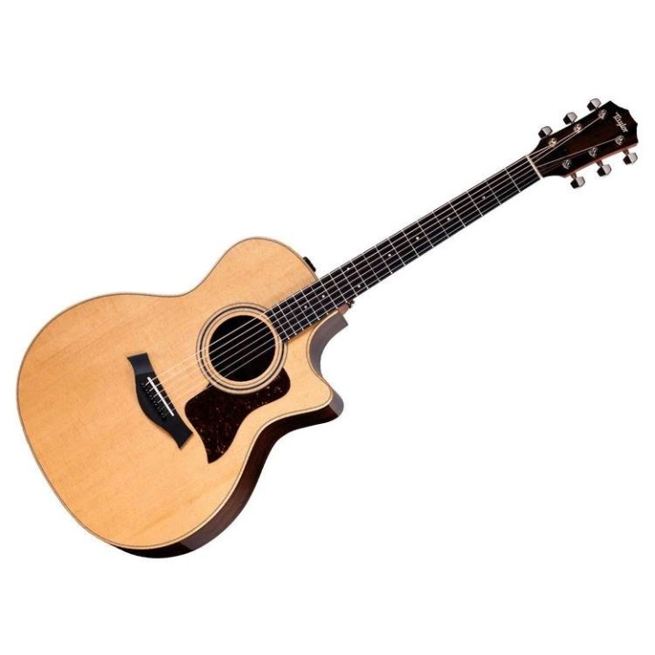 Taylor - 414ce Studio Natural