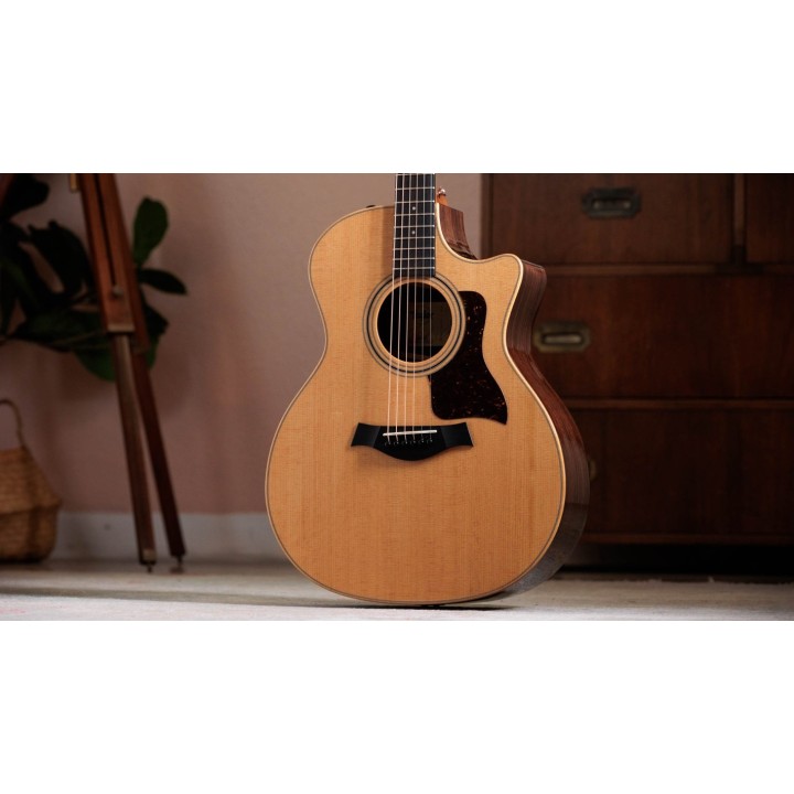 Taylor - 414ce Studio Natural