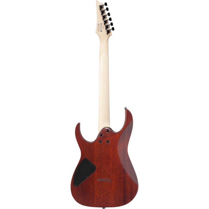 Ibanez RG421S SEM - Chitarra elettrica solid body