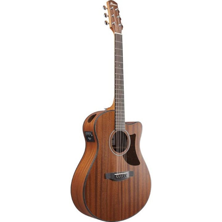 Ibanez - AAM54CEOPN